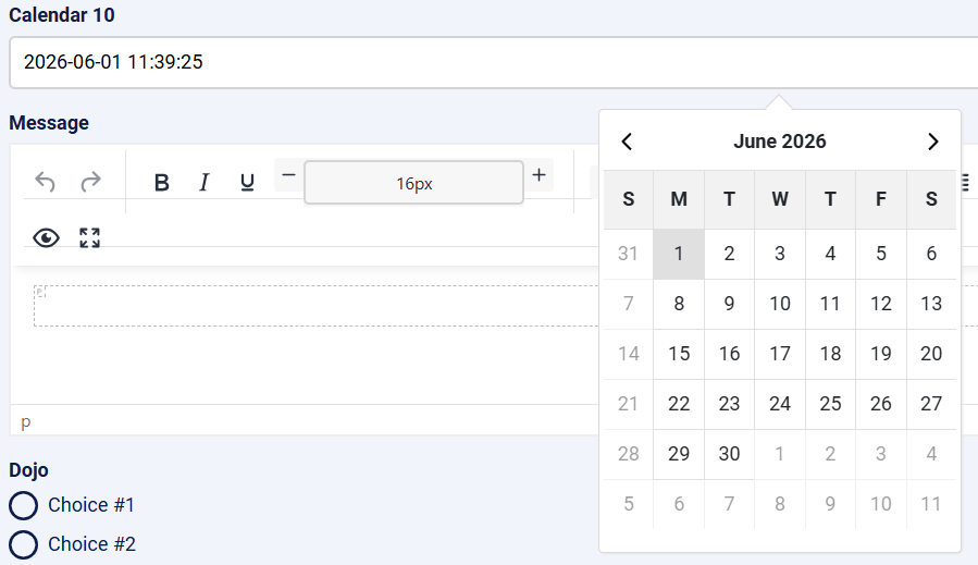 Calendar field starting day issue image 1