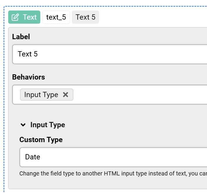 Change the calendar field to a date text field image 1