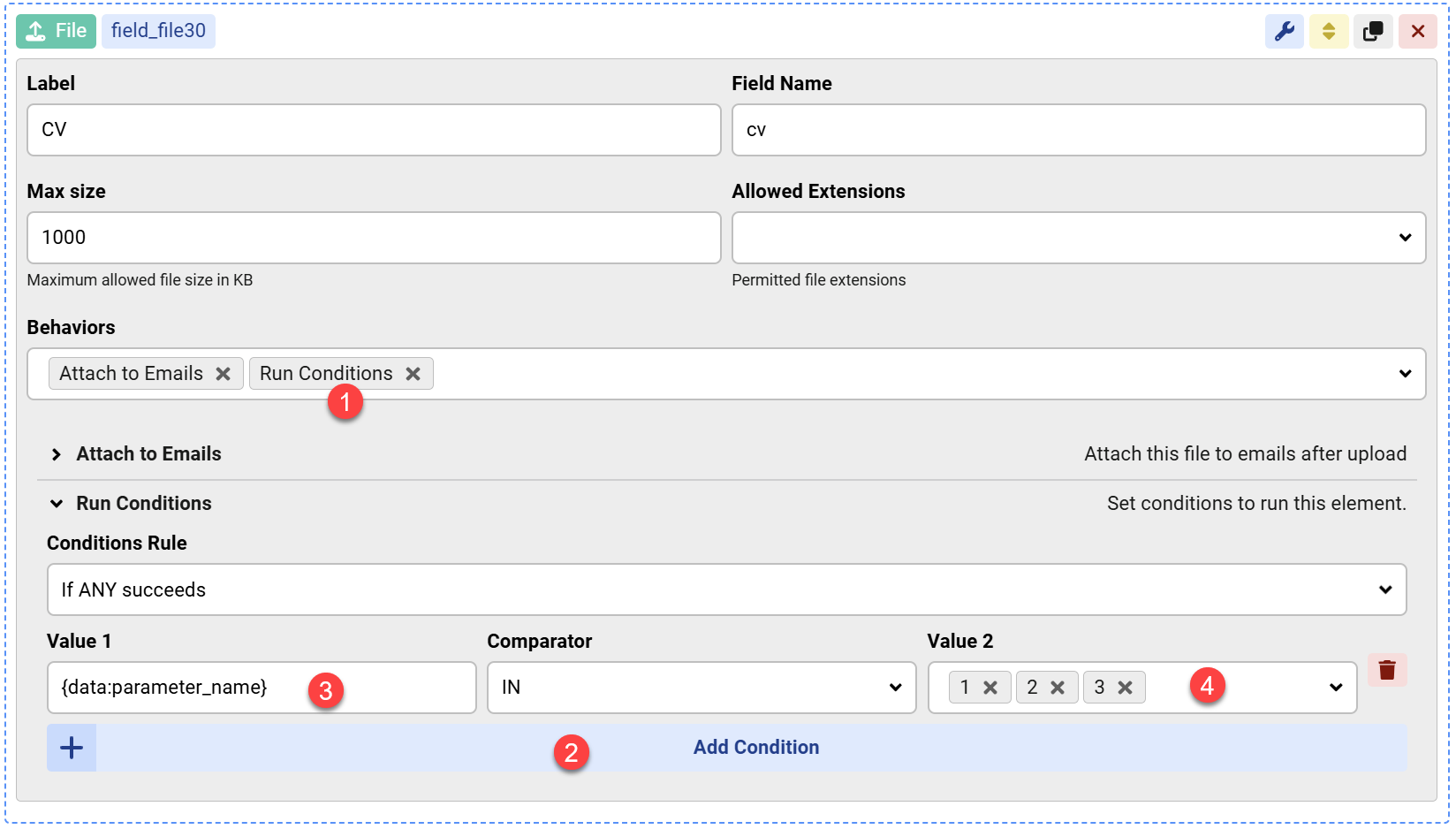 How to switch ON/OFF a form View or Action using the Run Conditions behavior image 1
